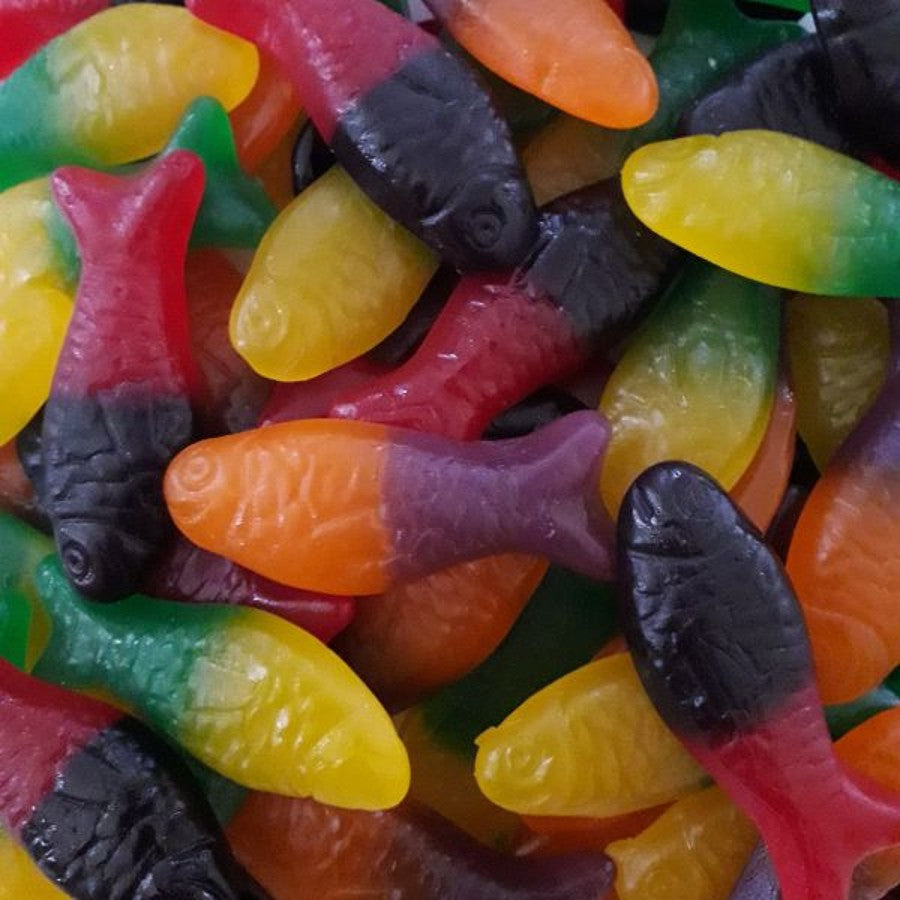 Rainbow Colourful Fish
