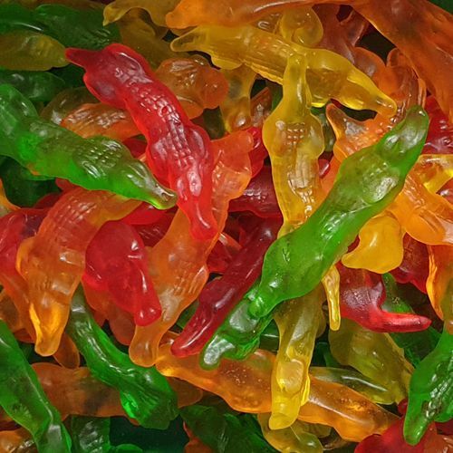 Crocodiles 2 Kg