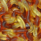 Cola Worms 2 Kg